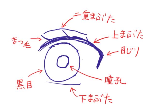 ラノベ風イラストの目の簡単な描き方 独学で神絵師になろう